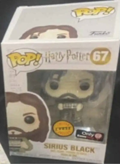 Funko Pop Harry Potter Sirius Black #67 Limited Edition Mystery Box Set - Image 2