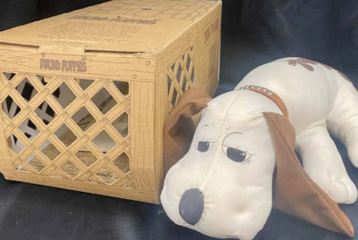 Rare 1984 2nd Edition Pound Puppies Dog Signed Mike Bowling 822/ 1000
