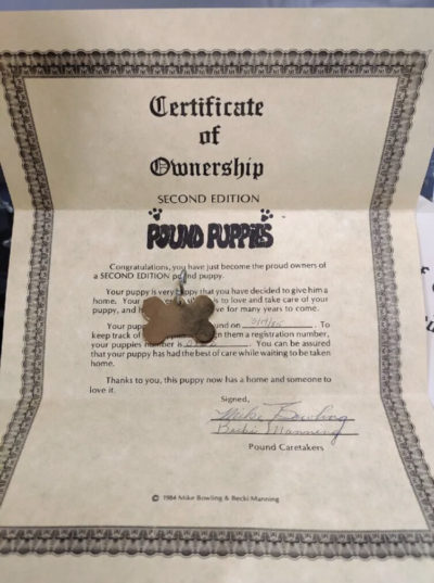 Rare 1984 2nd Edition Pound Puppies Dog Signed Mike Bowling 822/ 1000 - Image 8
