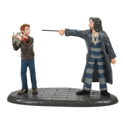 Dept 56 Come Out And Play, Peter! Harry Potter Village 6007756